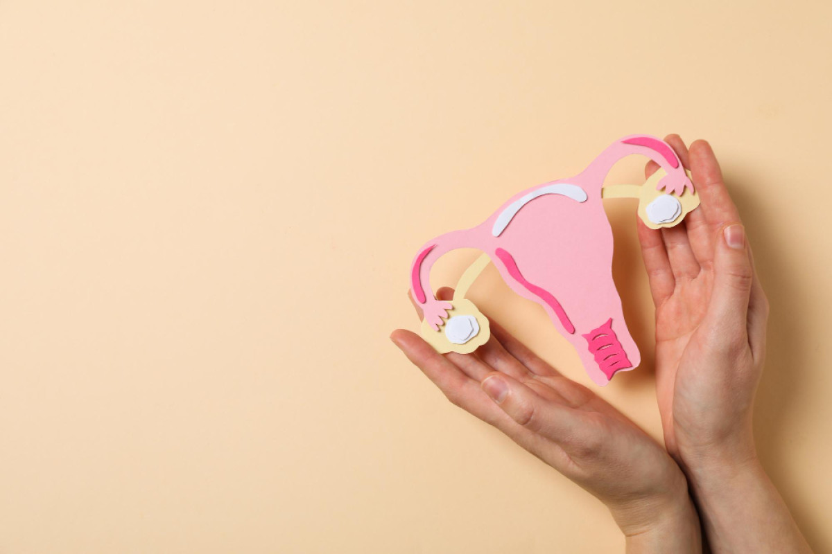 Endometriose e Fertilidade: O Que Você Precisa Saber Sobre Essa Doença Silenciosa