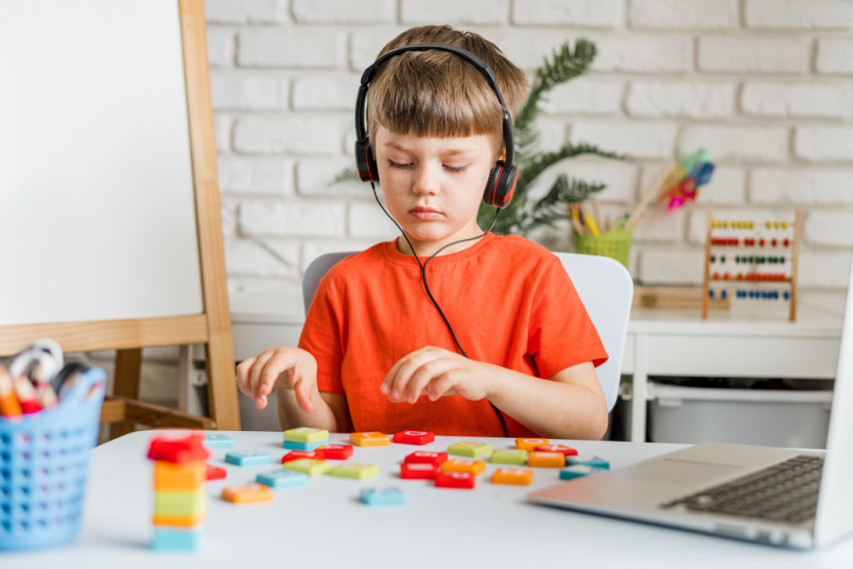 Registro Nacional de Autismo nos Estados Unidos: entre o avanço da pesquisa e a proteção dos direito