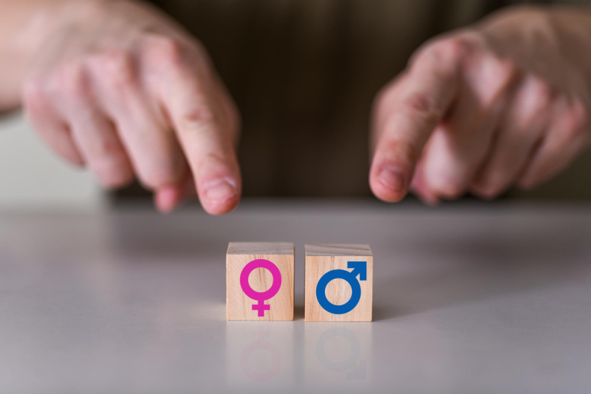 Transição de Gênero e Fertilidade: Caminhos Possíveis para a Parentalidade