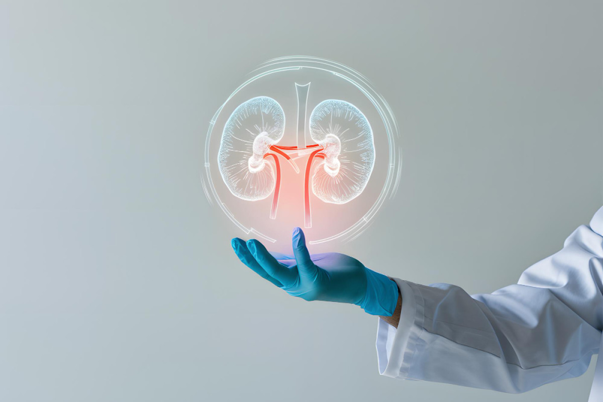 Hábitos que prejudicam seus rins sem você perceber: o que evitar e como prevenir doenças renais
