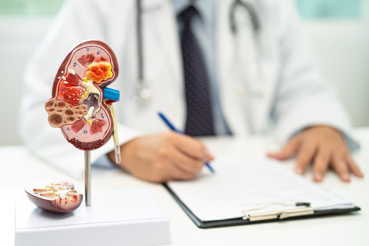 Entendendo o Diagnóstico e as Alternativas para Prolongar a Vida dos Pacientes com Doença Renal