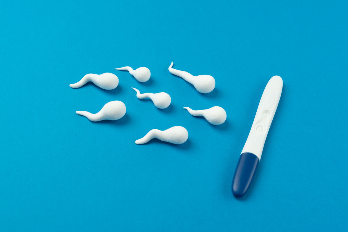 Microplásticos ameaçam a fertilidade humana detectados em sêmen óvulos e placenta