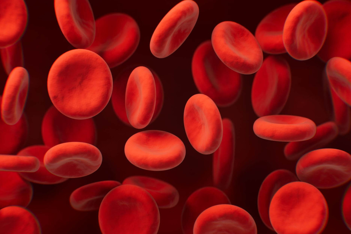 Anemia não é só falta de ferro: investigar a causa pode salvar vidas