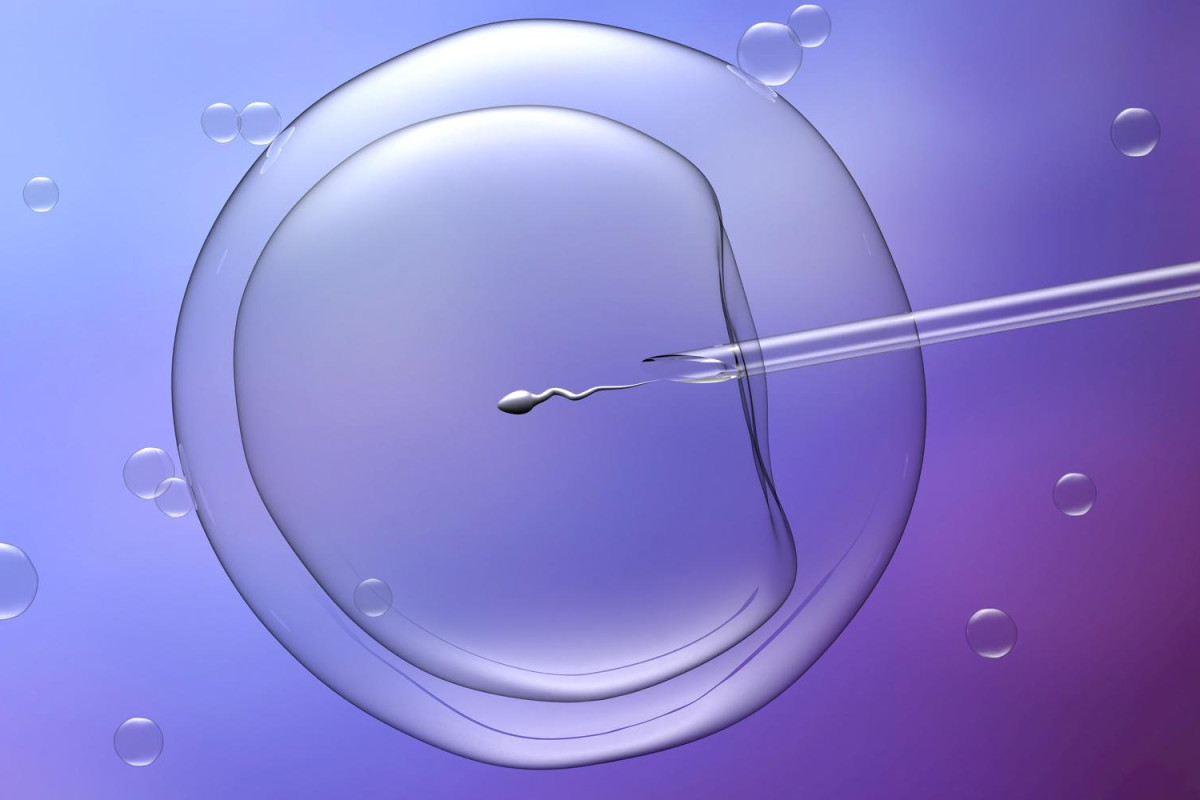 Quando a fertilização in vitro se torna o caminho mais eficaz para engravidar