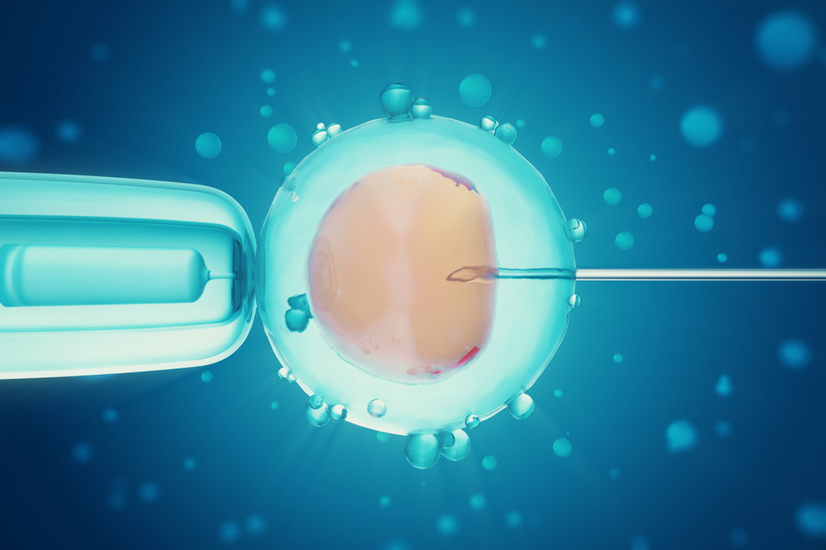 Queda da fertilidade avança no Brasil e aumenta a busca por ajuda para engravidar