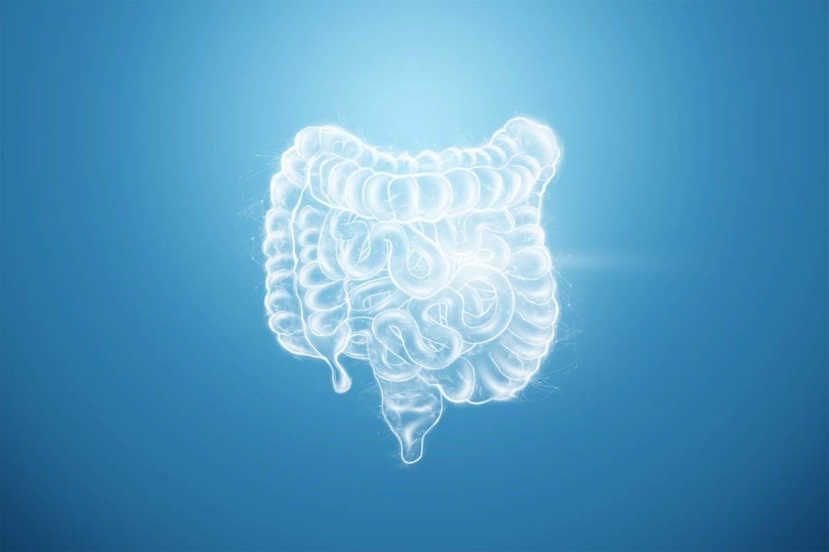 Microbiota, intestino e saúde