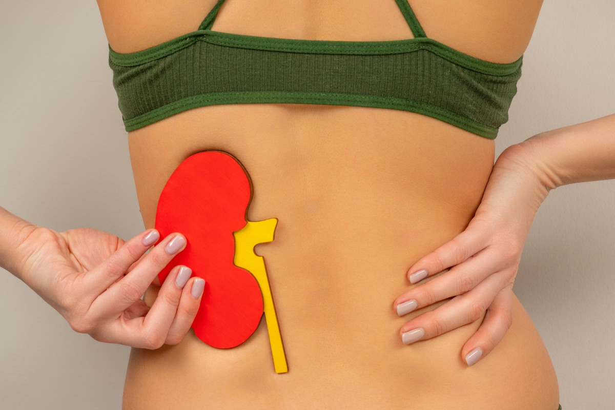 Creatinina elevada: o que o exame revela sobre a função renal