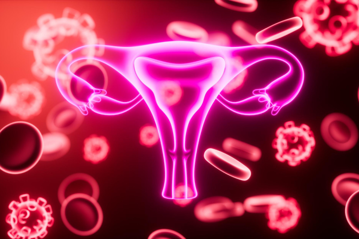 Microbioma do útero: as bactérias que podem influenciar a implantação do embrião
