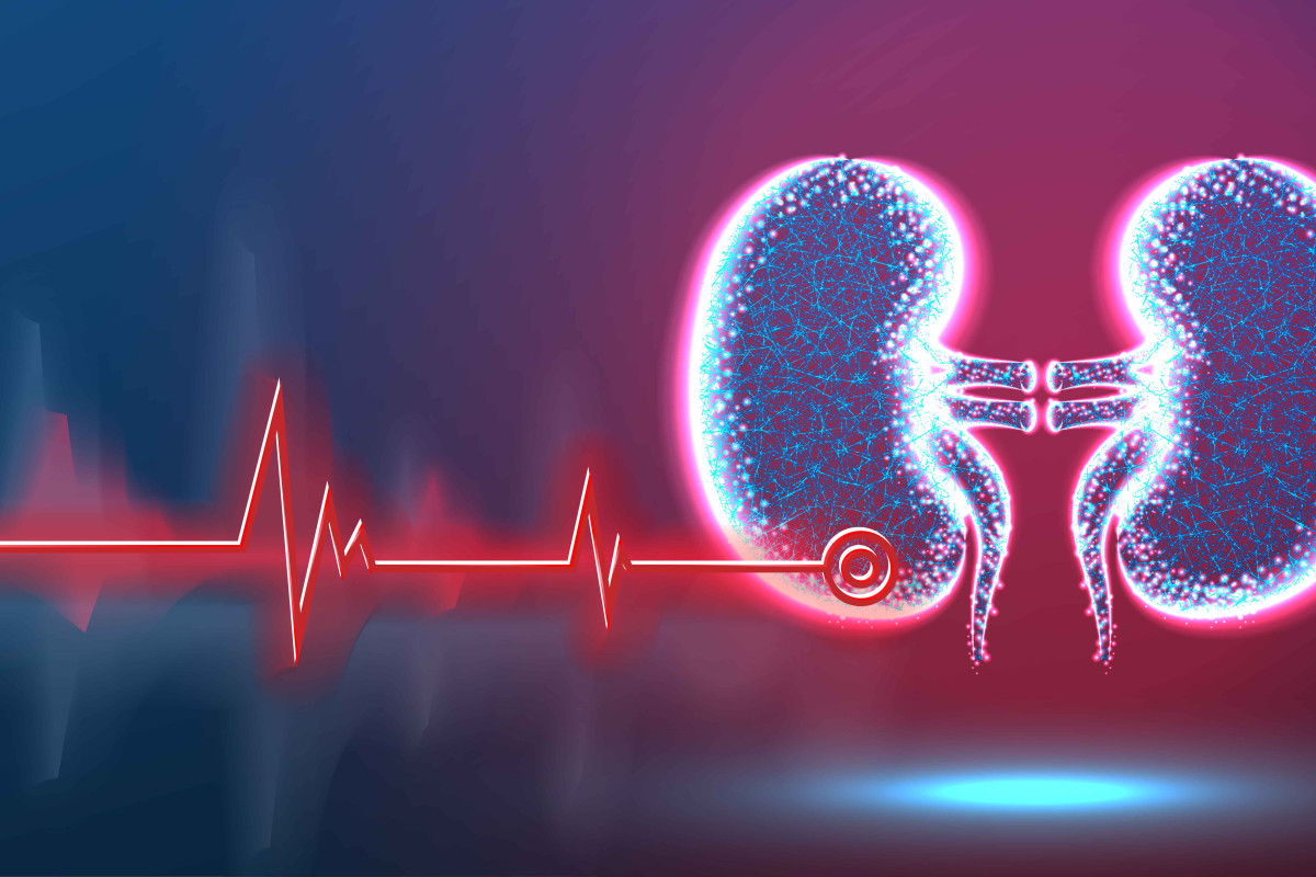 Doença renal vai muito além dos rins – e pode afetar coração e cérebro