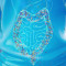remedios_para_emagrecer_podem_reduzir_risco_de_morte_por_cancer_de_intestino_aponta_asco.jpg