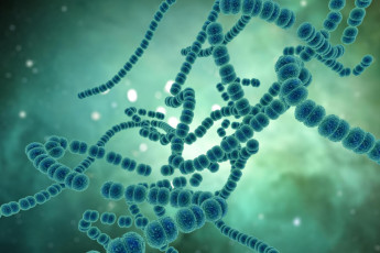 peptideos_e_regeneracao_ciencia_investiga_substancias_ligadas_a_recuperacao_muscular.jpg