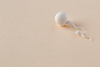 fertilidade_masculina_em_queda_o_alerta_global_que_ainda_passa_despercebido (1).jpg