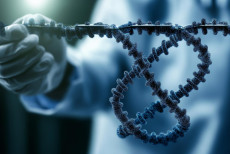 testes_geneticos_no_cancer_ajudam_a_escolher_terapias_mais_eficazes_e_com_menos_efeitos (1).jpg