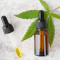 cannabis_medicinal_para_insonia_o_que_se_sabe_sobre_beneficios_e_riscos.jpg