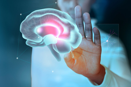 dia_mundial_do_cerebro_reforca_prevencao_e_diagnostico_precoce_em_todas_as_idades.jpg