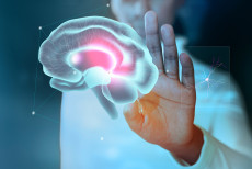 dia_mundial_do_cerebro_reforca_prevencao_e_diagnostico_precoce_em_todas_as_idades.jpg