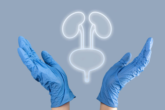 canceres_urologicos_avancam_no_brasil_e_reforcam_urgencia_do_diagnostico_precoce.jpg